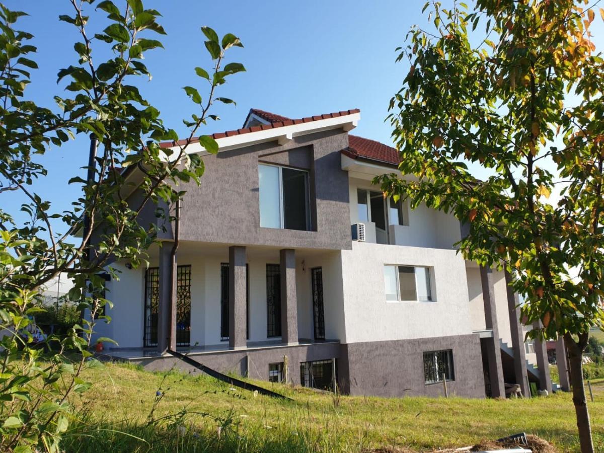 Apartament Lidia House Alba Iulia Zewnętrze zdjęcie